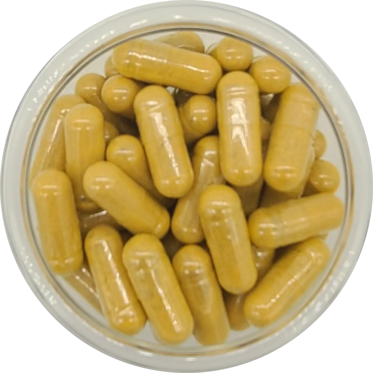 thumbnail image 2 of Vitalee Helicobacter Pylori & Leaky Gut Defense – 500mg Herbal Capsules (60ct) 2 of 6